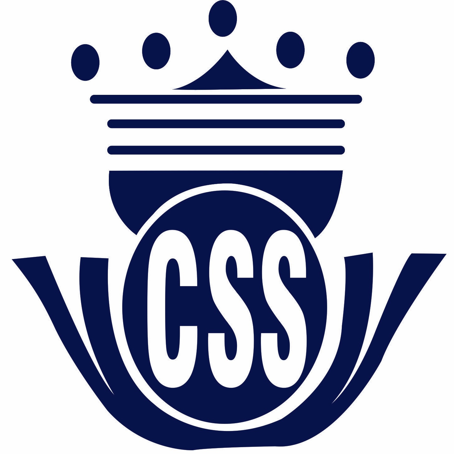 Constant Security Solutions Logo